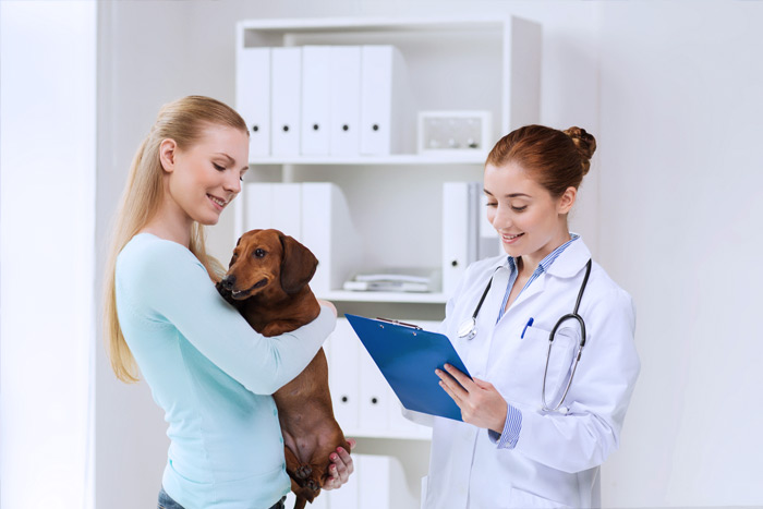 ЭЦП для оформления ветеринарных сертификатов (ГИС Меркурий) в Краснодаре